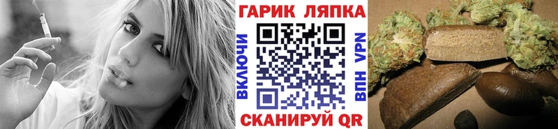 ГАШ Premium  Щигры 