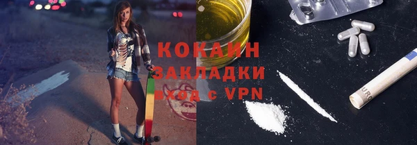гидра Тында