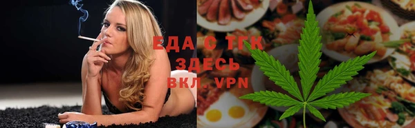 гидра Тында