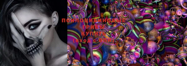 метадон Туринск