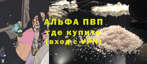 гидра Тында